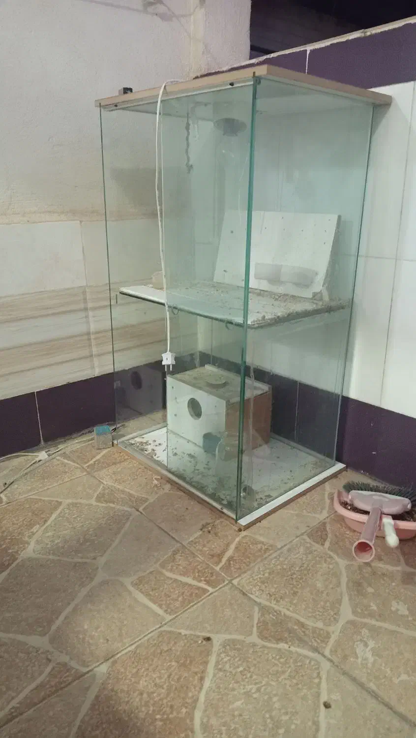 قفس پرنده|لوازم جانبی حیوانات|اهر, |دیوار