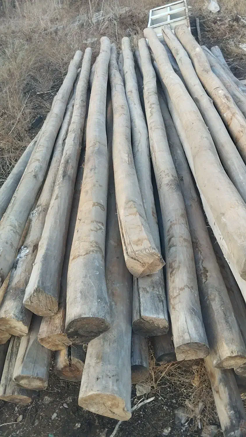 چوب|ابزارآلات|میاندوآب, |دیوار