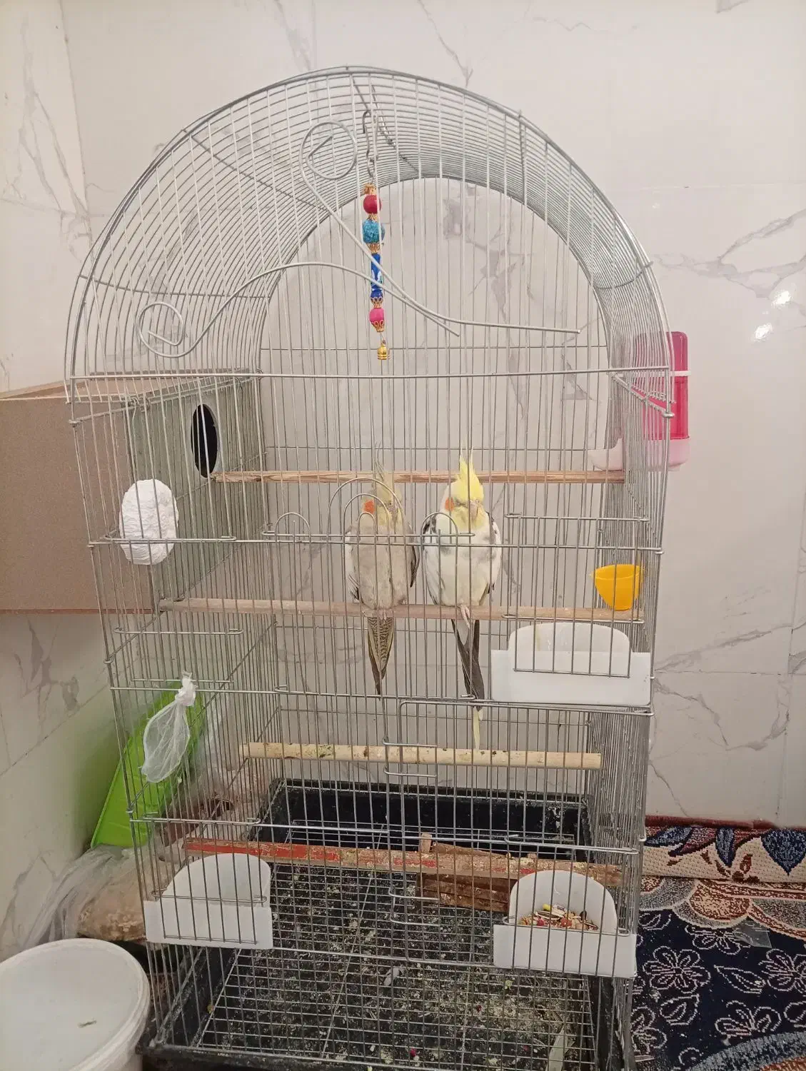 عروس هلندی دستی|پرنده|تفت, |دیوار