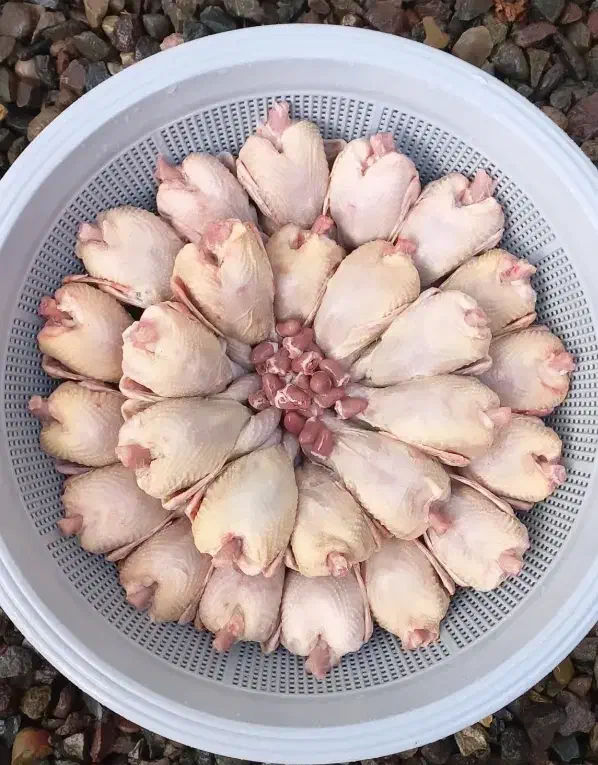 بلدرچین گوشتی|خوردنی و آشامیدنی|املش, |دیوار