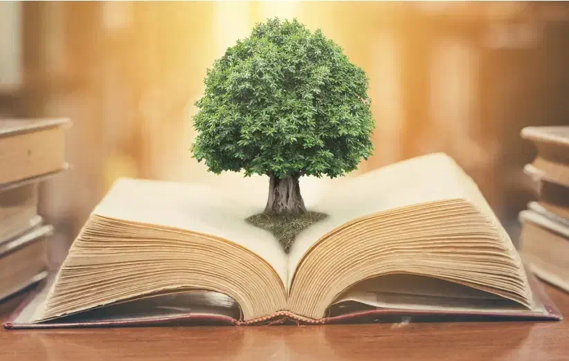 تدریس زبان تا مقطع دبیرستان|خدمات آموزشی|شاهین‌شهر, پاسداران|دیوار