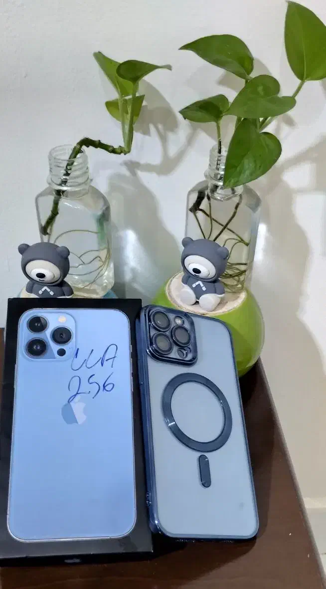 iPhone 13 Pro Max 256g|موبایل|قشم, |دیوار