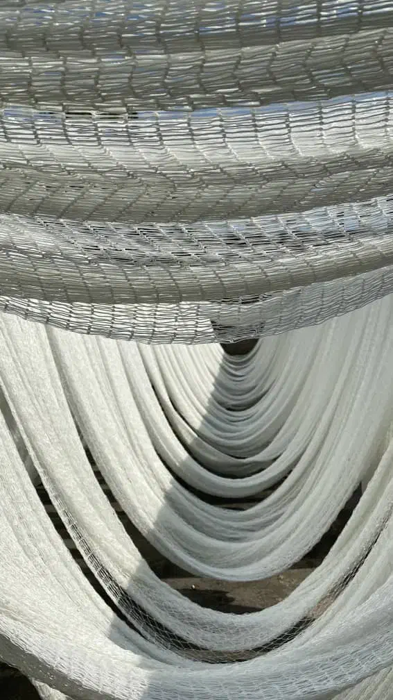 نیروی کار در کارخانه توربافی بابلسر|استخدام صنعتی، فنی، مهندسی|بابلسر, |دیوار