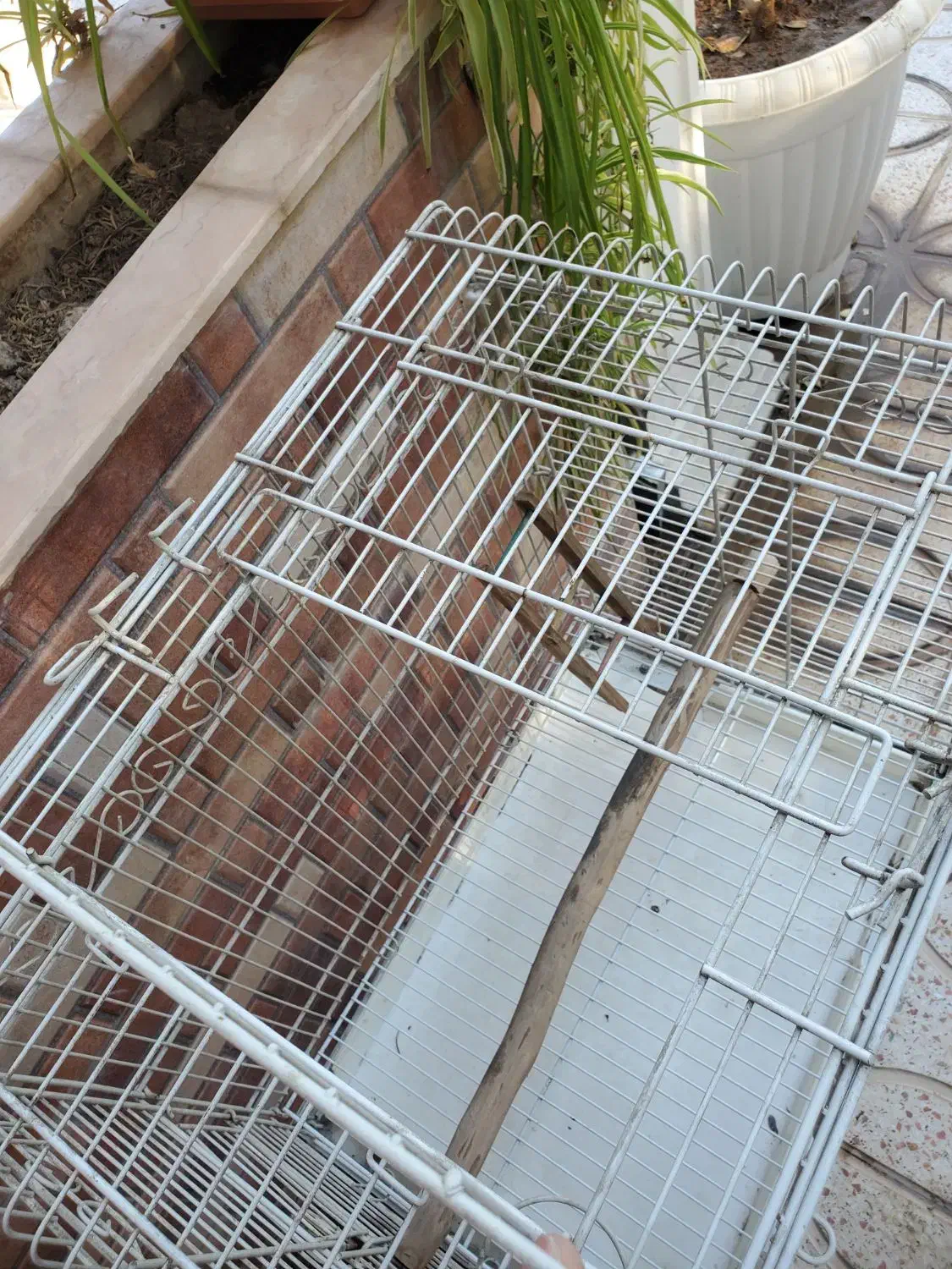 قفس بزرگ فلزی|لوازم جانبی حیوانات|رباطکریم, رباطکریم|دیوار