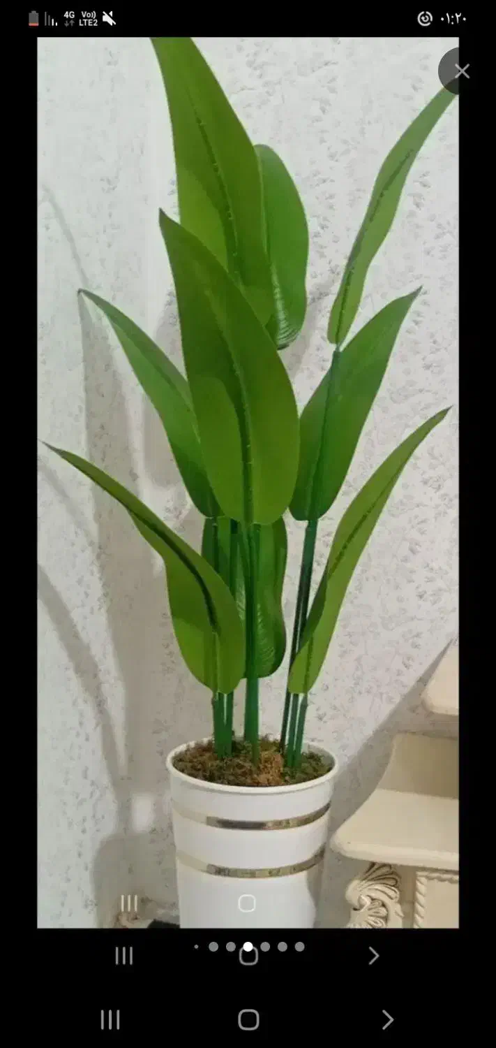 درختچه|گل مصنوعی|ساوه, |دیوار