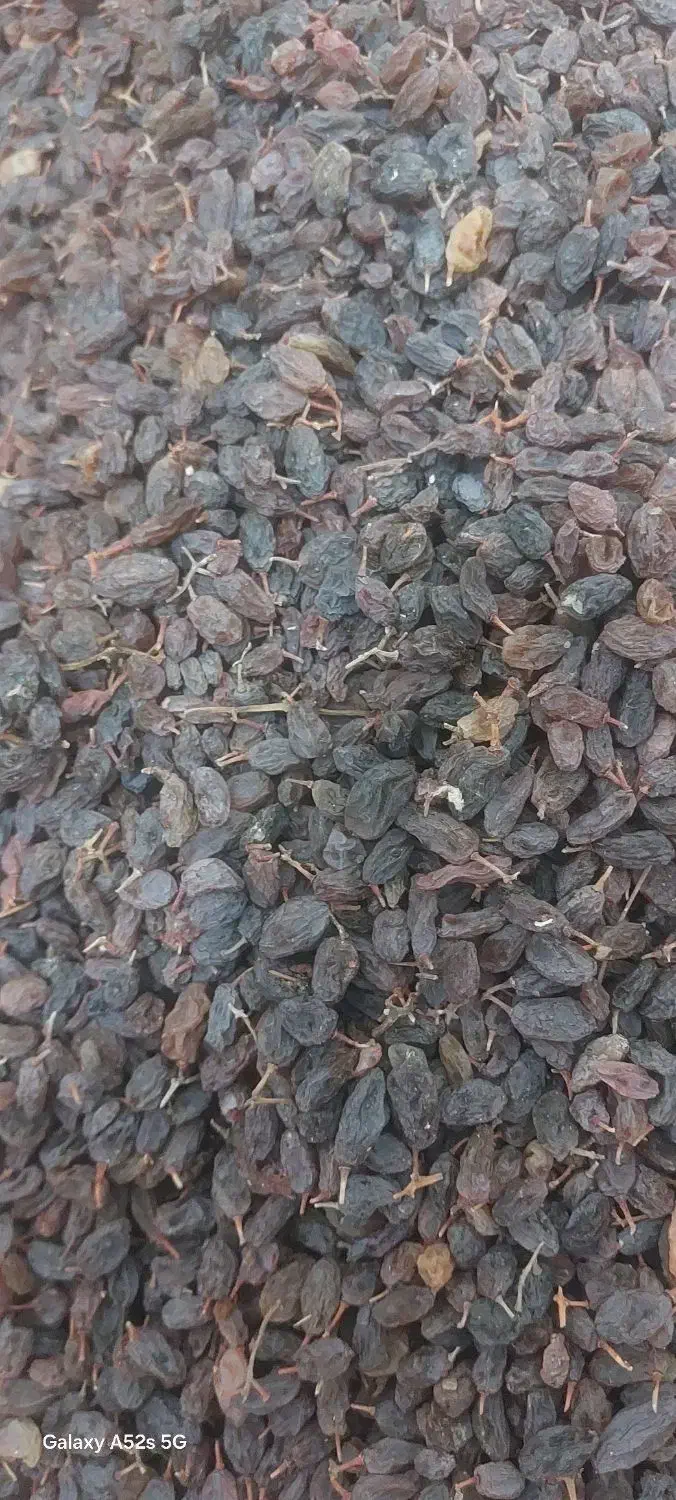 کشمش|خوردنی و آشامیدنی|اشنویه, |دیوار