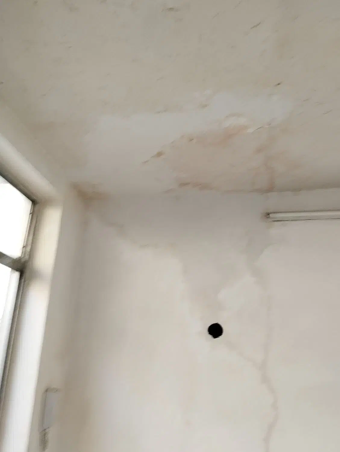 لکهگیری گچکاری وکار کلی گچکاری در کل مشهد|خدمات پیشه و مهارت|مشهد, طلاب|دیوار