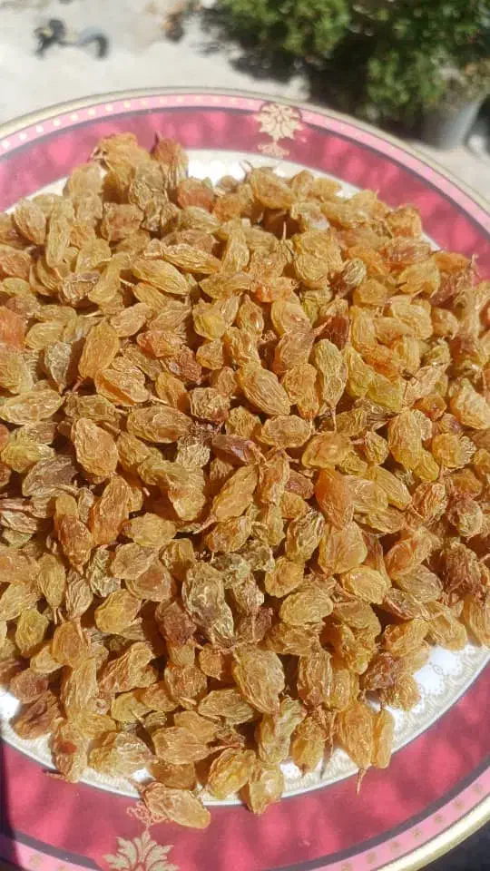 کشمش درجه یک|خوردنی و آشامیدنی|شیراز, دروازه اصفهان|دیوار