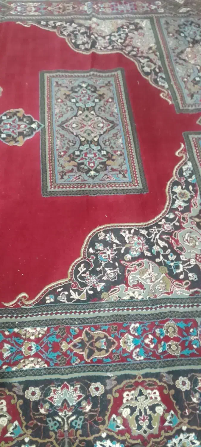 فرش 12 متری قیمت مناسب|فرش|علی‌آباد کتول, |دیوار