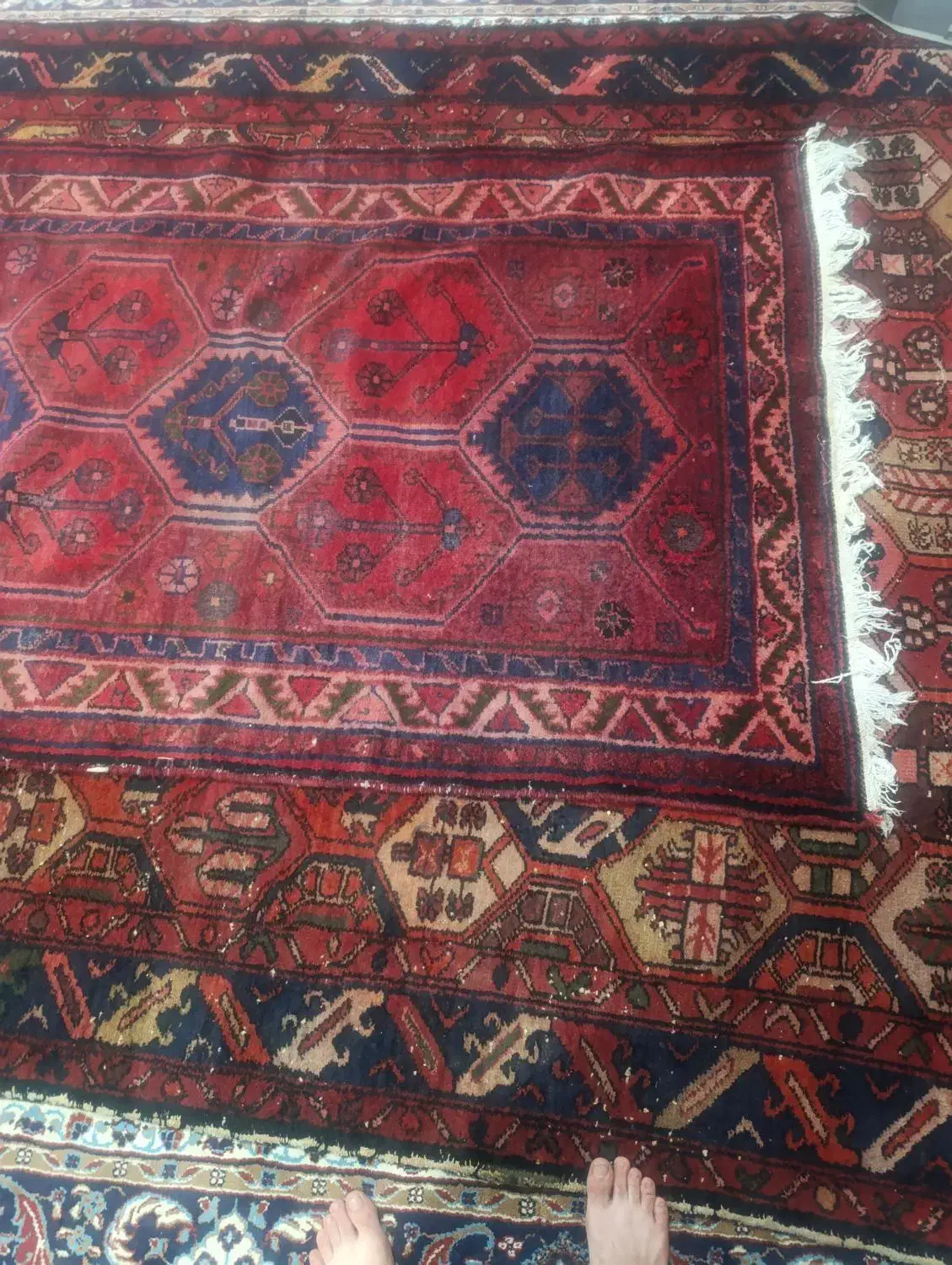 فرش دستباف|فرش|دزفول, |دیوار