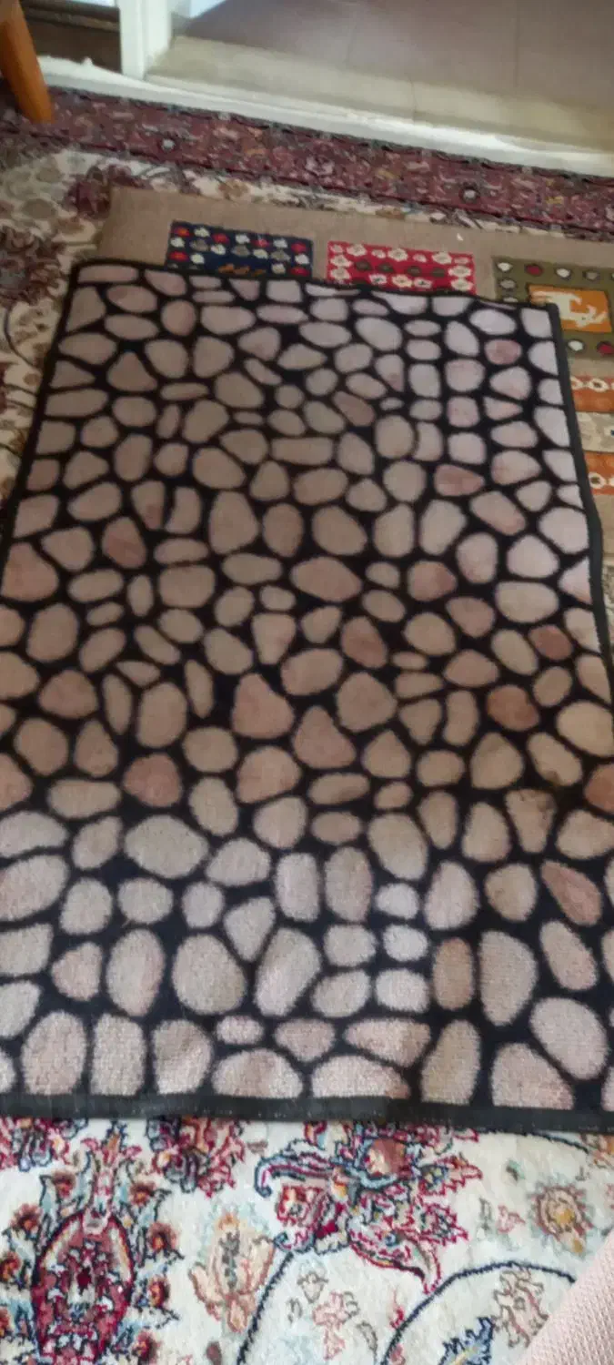 ۲ عدد پادری کوچک|پادری|تهران, جوادیه تهرانپارس|دیوار