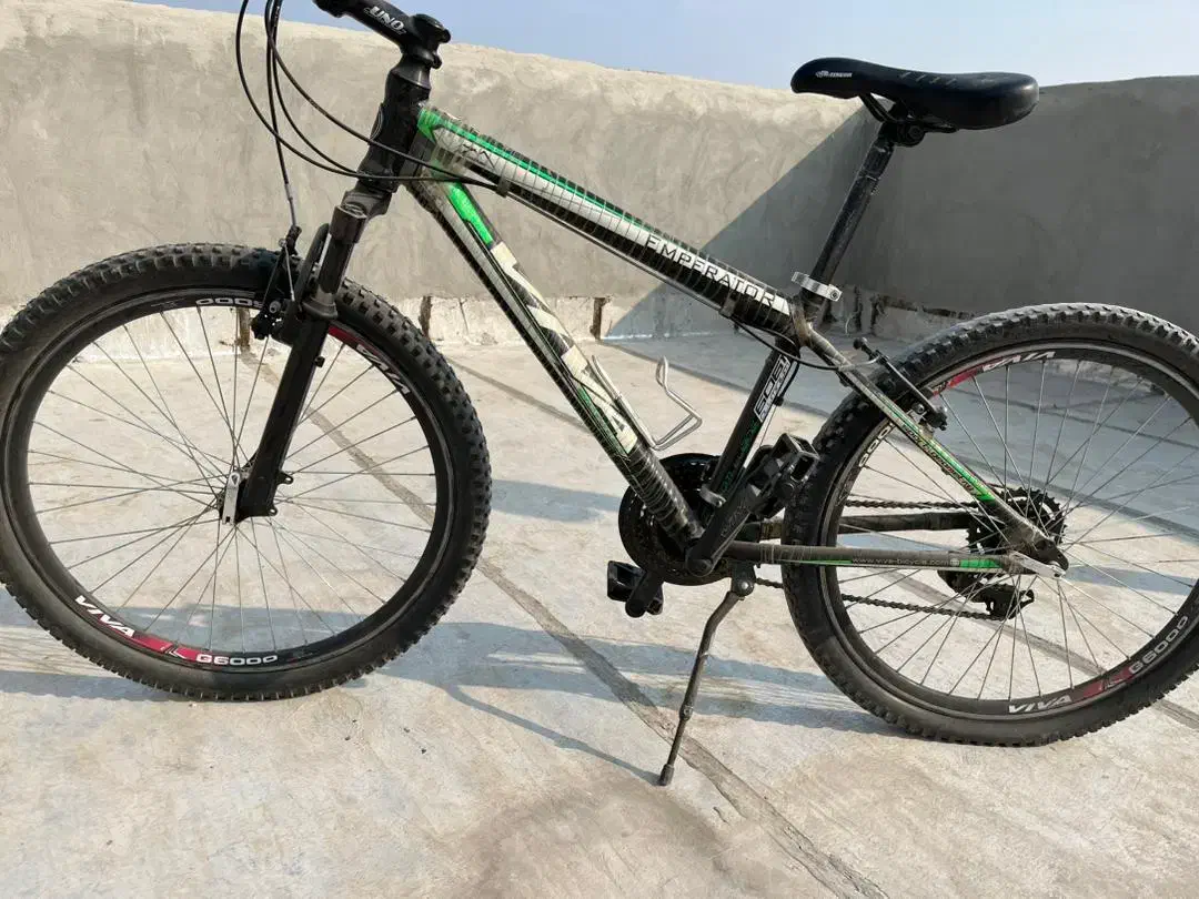 دوچرخه ویوا|دوچرخه، اسکیت، اسکوتر|وحیدیه, |دیوار