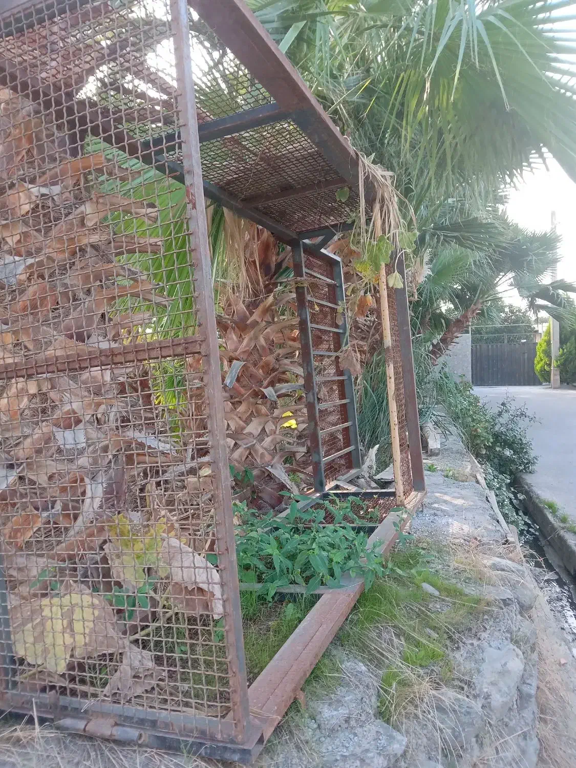 اتاق مزدا ۱۶۰۰|قطعات یدکی و لوازم جانبی|نوکنده, |دیوار