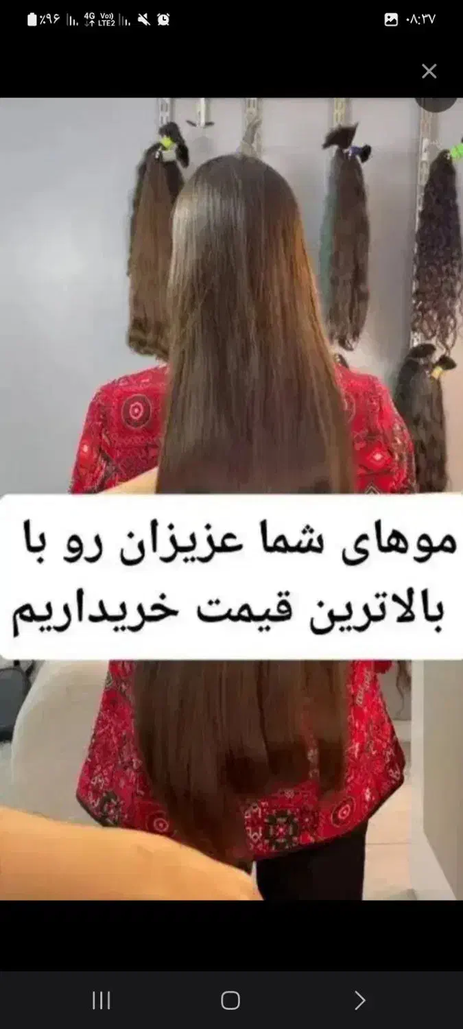 نمایندگی فروش مو|خدمات آرایشگری و زیبایی|گلوگاه, |دیوار