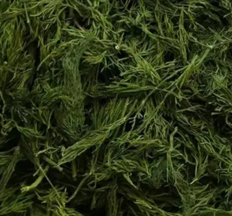 شوید خشک|خوردنی و آشامیدنی|مبارکه, |دیوار