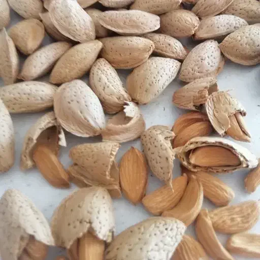 بادام|عمدهفروشی|خسروشاه, |دیوار