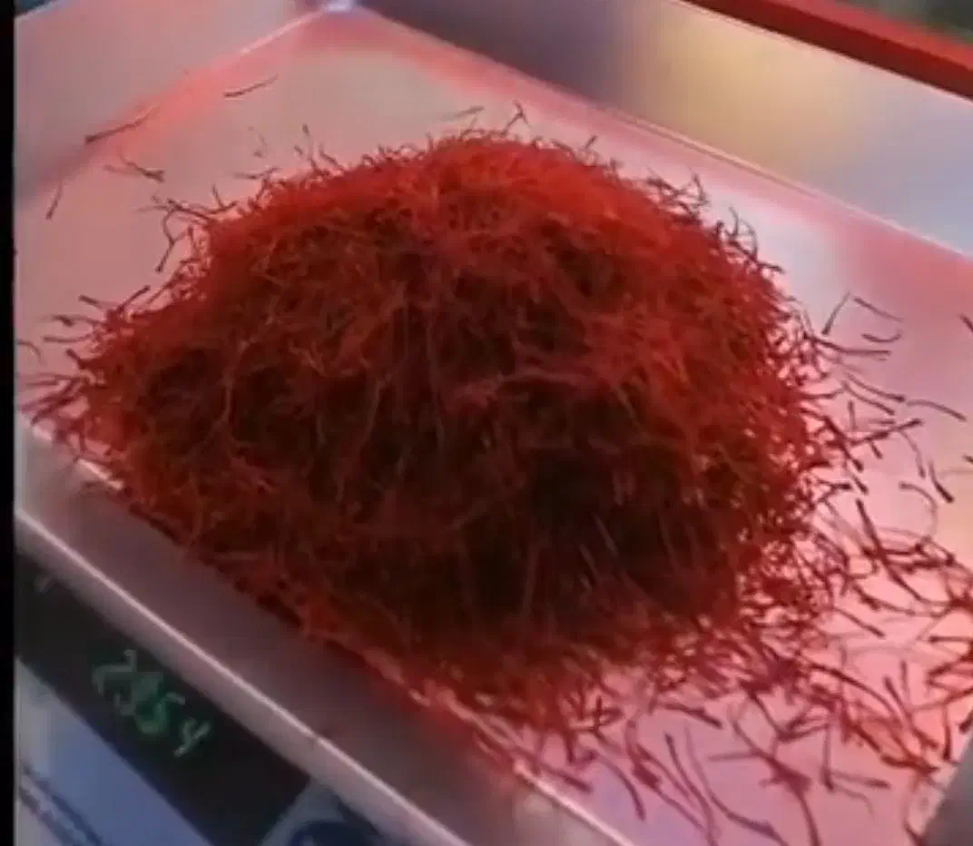 نگین اعلا|خوردنی و آشامیدنی|میان ولایت, |دیوار