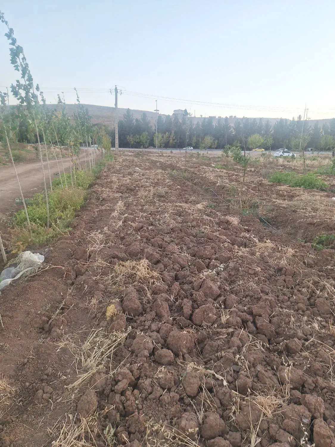 باغ ۴۵۰۰ بر اصل جاده سراب نیلوفر|فروش زمین و ملک کلنگی|کرمانشاه, |دیوار