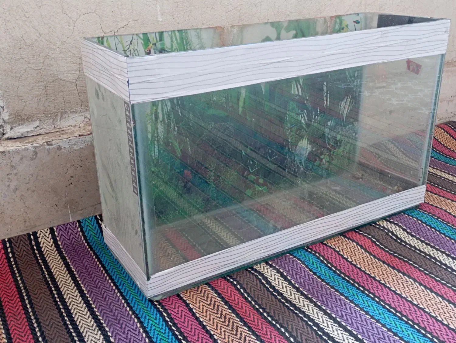 اکواریوم|ماهی|قم, پردیسان|دیوار