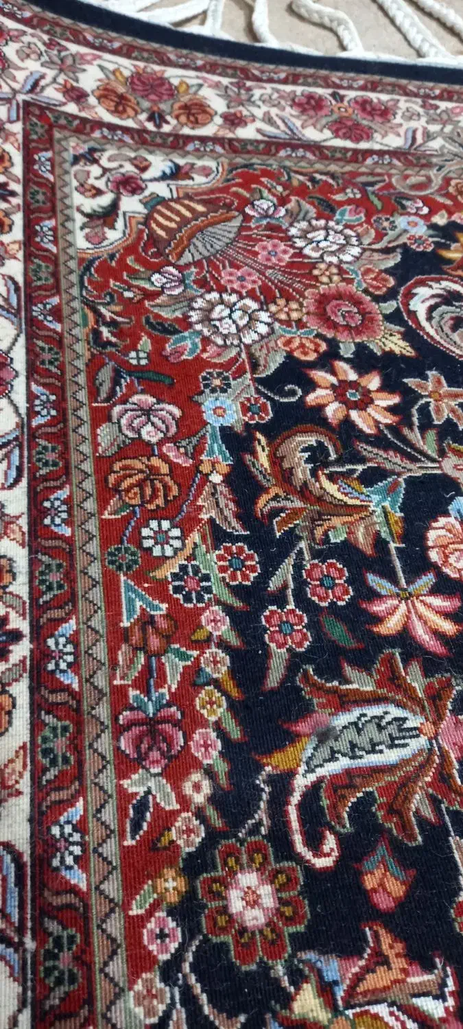 فرش دستبافت|فرش|سقز, |دیوار