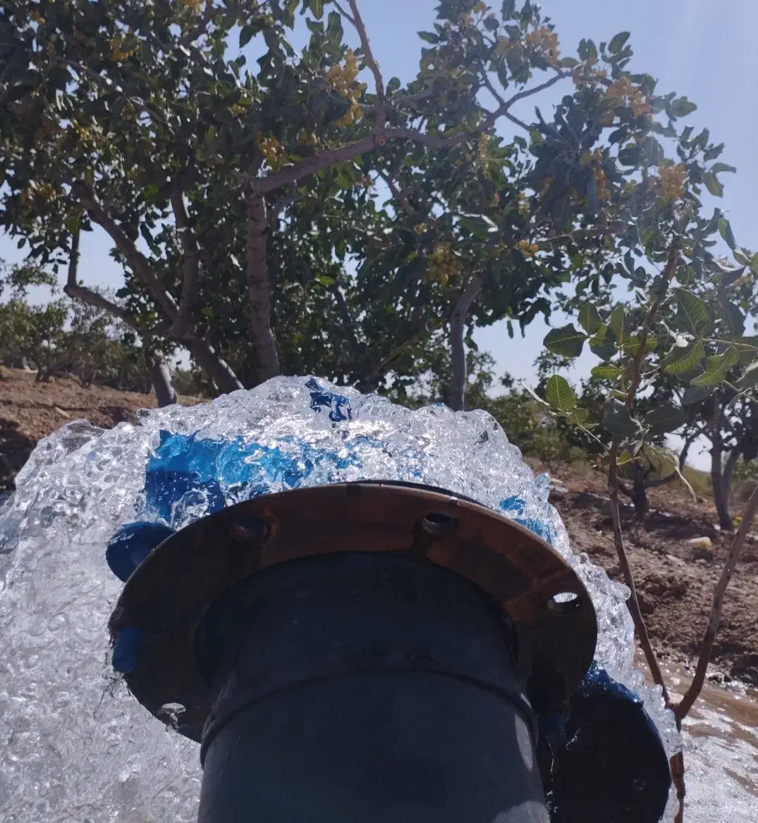 فروش ۲ ساعت آب ملکی موتورپمپ جوادیه|فروش دفتر صنعتی، کشاورزی، تجاری|فردوس (خراسان), |دیوار