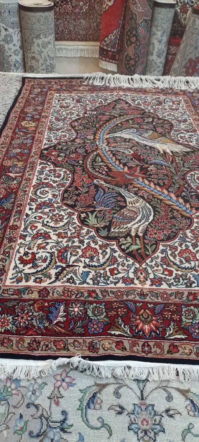 دو زر مرغ ماهی خوار|فرش|همدان, |دیوار