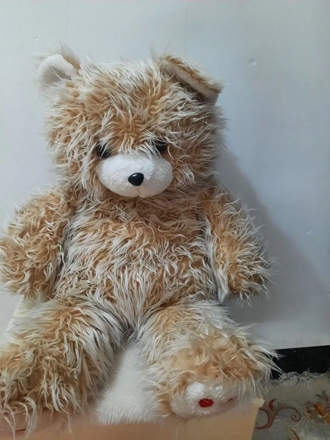 خرس بزرگ|اسباب‌‌بازی|تربت جام, شیخ احمد جامی|دیوار