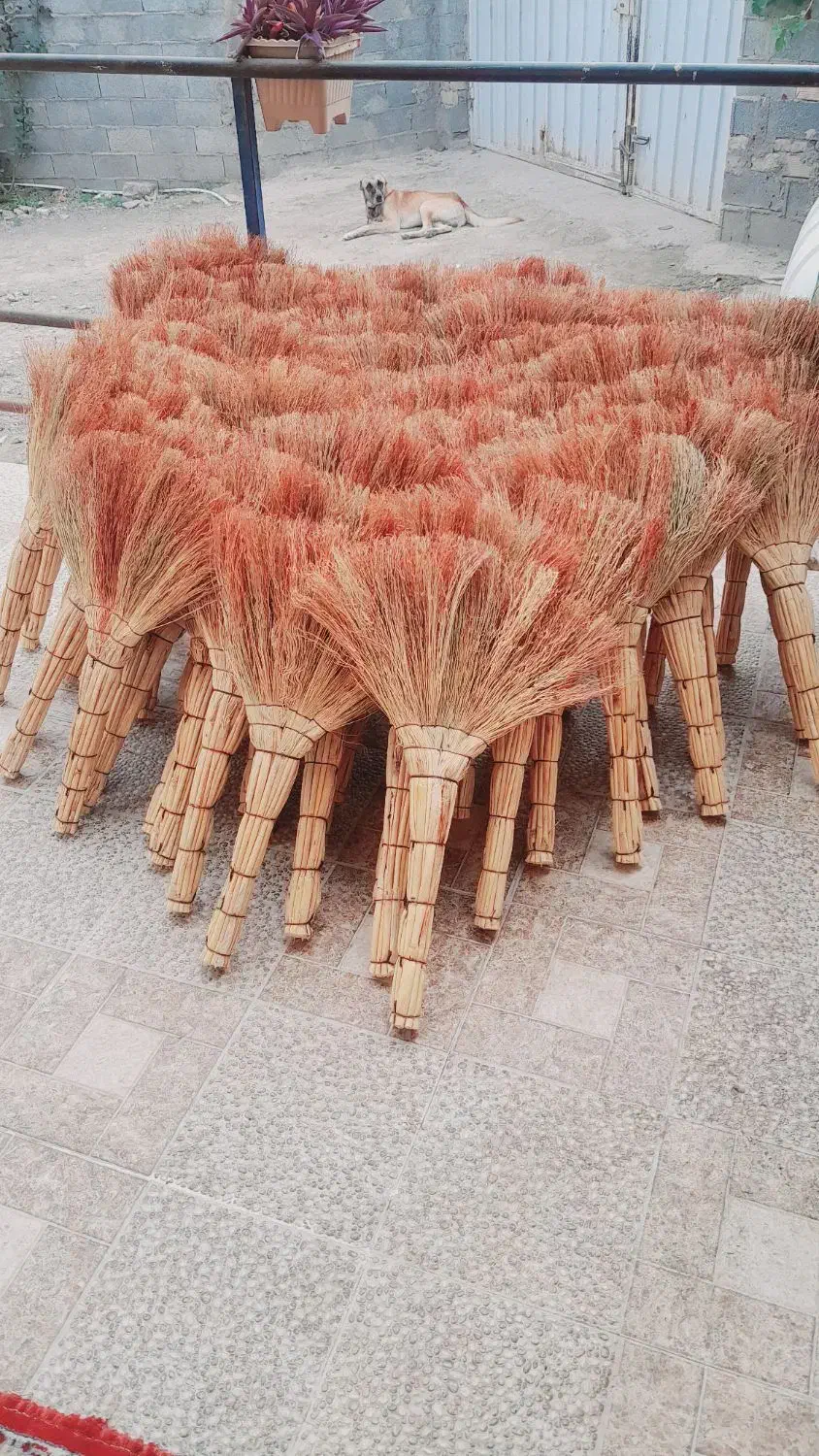 فروشی هر چند تا که بخاین جاروی تمیز سالم دستی|لوازم نظافت|آق قلا, |دیوار