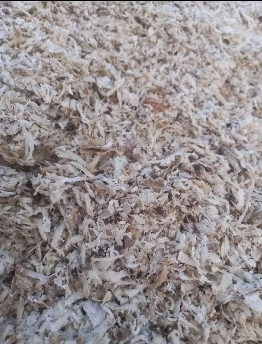 تفاله چغندروسیب|خوردنی و آشامیدنی|چهاربرج, |دیوار