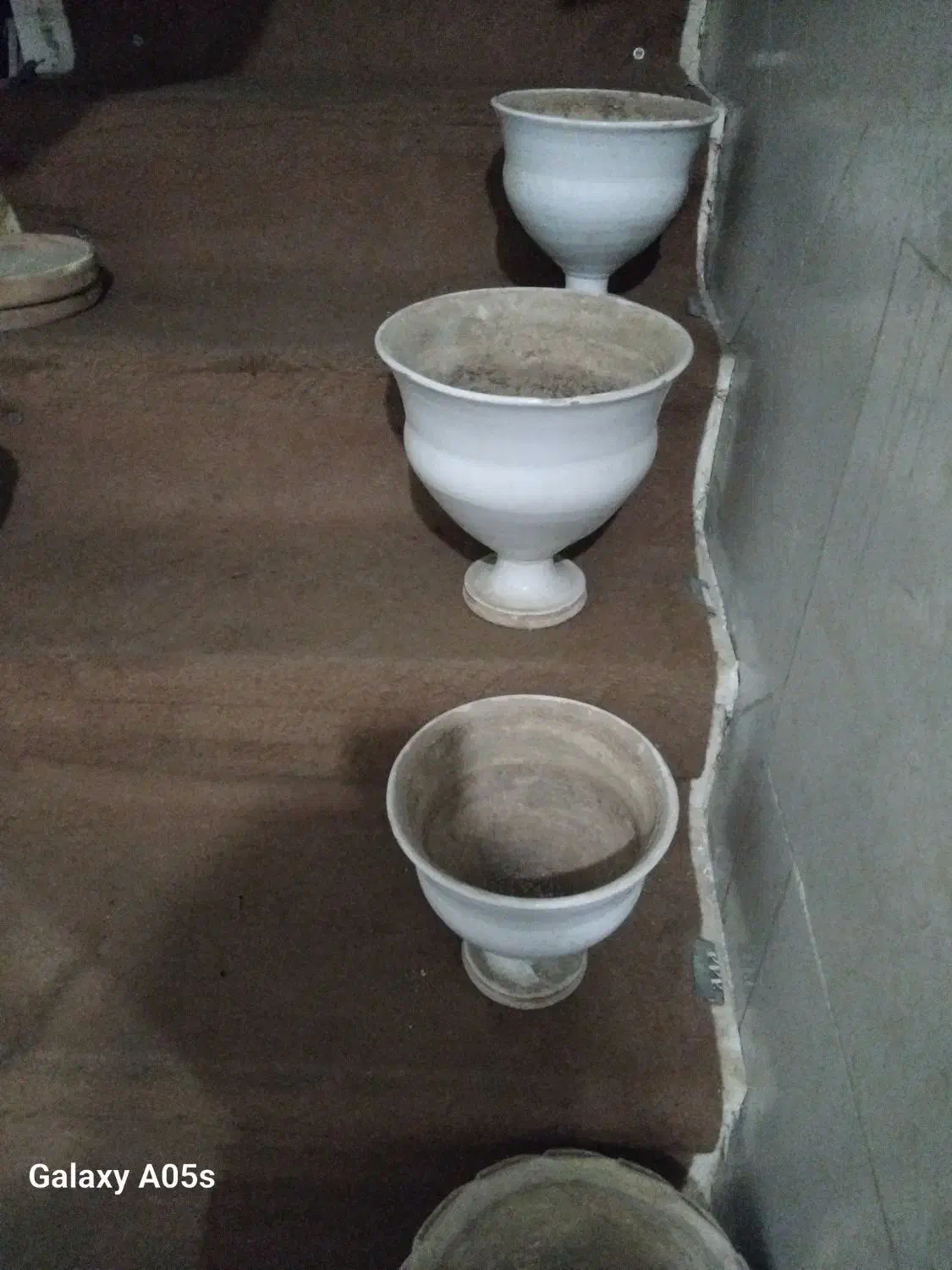 چندعددگلدان|گل و گیاه طبیعی|نیر (یزد), |دیوار