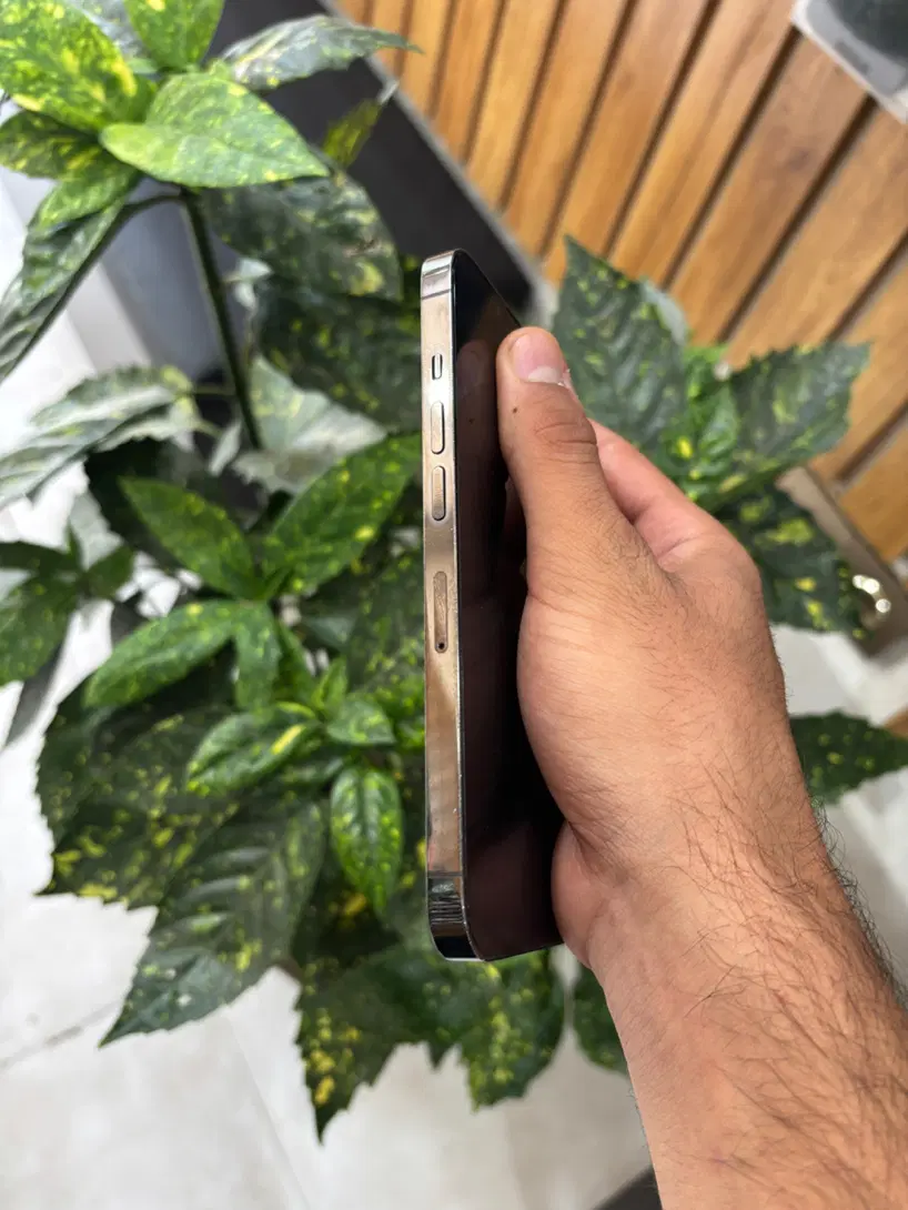 آیفون ۱۳ پرو ( iphone 13 pro )|موبایل|کرج, اصفهانی‌ها|دیوار