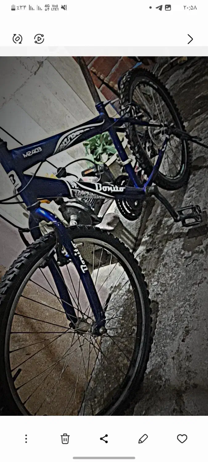 دوچرخه 24بونیتو|دوچرخه، اسکیت، اسکوتر|گنبد کاووس, |دیوار