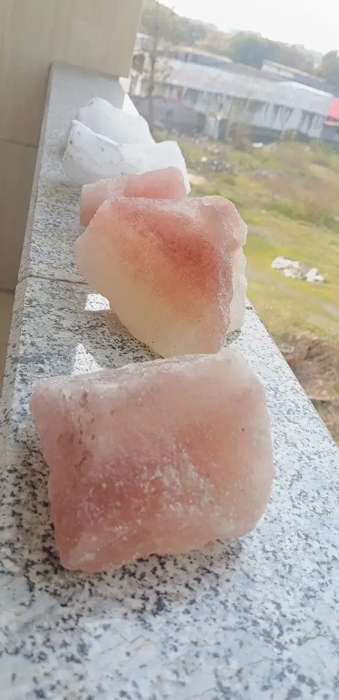 محیط زندگی و بدنتو با اینا پاکسازی کن|عمده‌فروشی|رشت, کاکتوس|دیوار