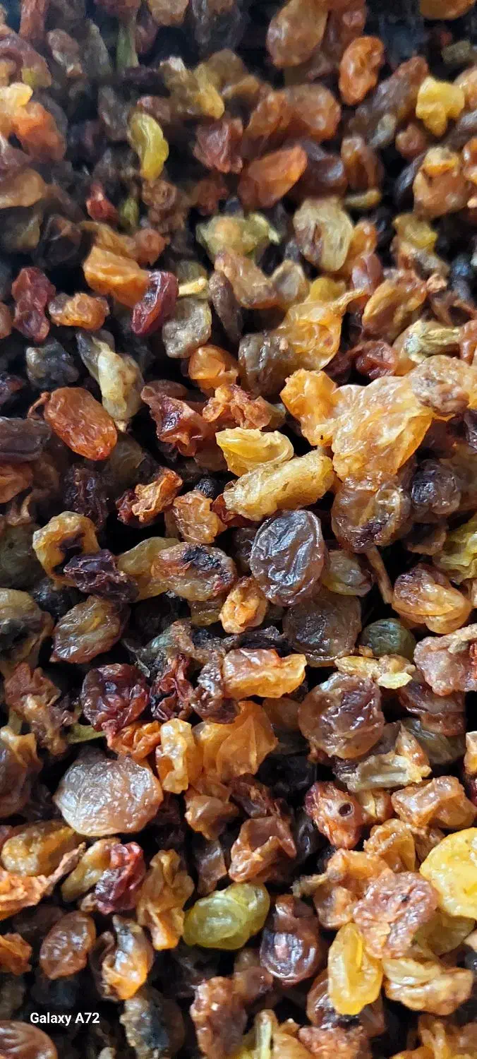 کشمش درگز بهترین کیفیت|خوردنی و آشامیدنی|ساری, |دیوار