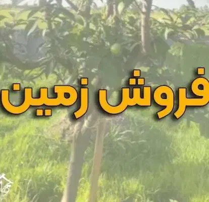 فروش زمین|فروش زمین و ملک کلنگی|ورزنه, |دیوار