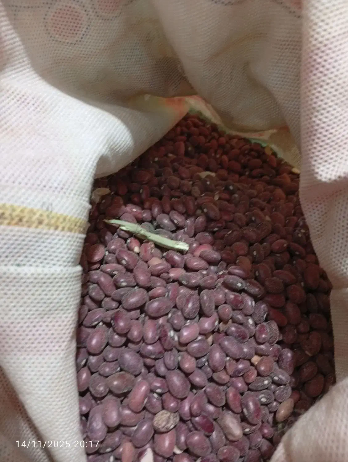 لوبیا قرمز درخانه زنیان|خوردنی و آشامیدنی|ارژن, |دیوار