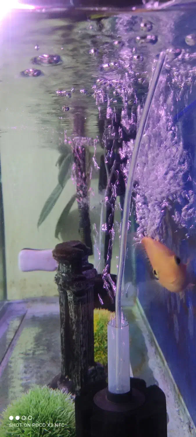 فروش آکواریوم بزرگ وپایه دار|ماهی|خرمآباد, |دیوار