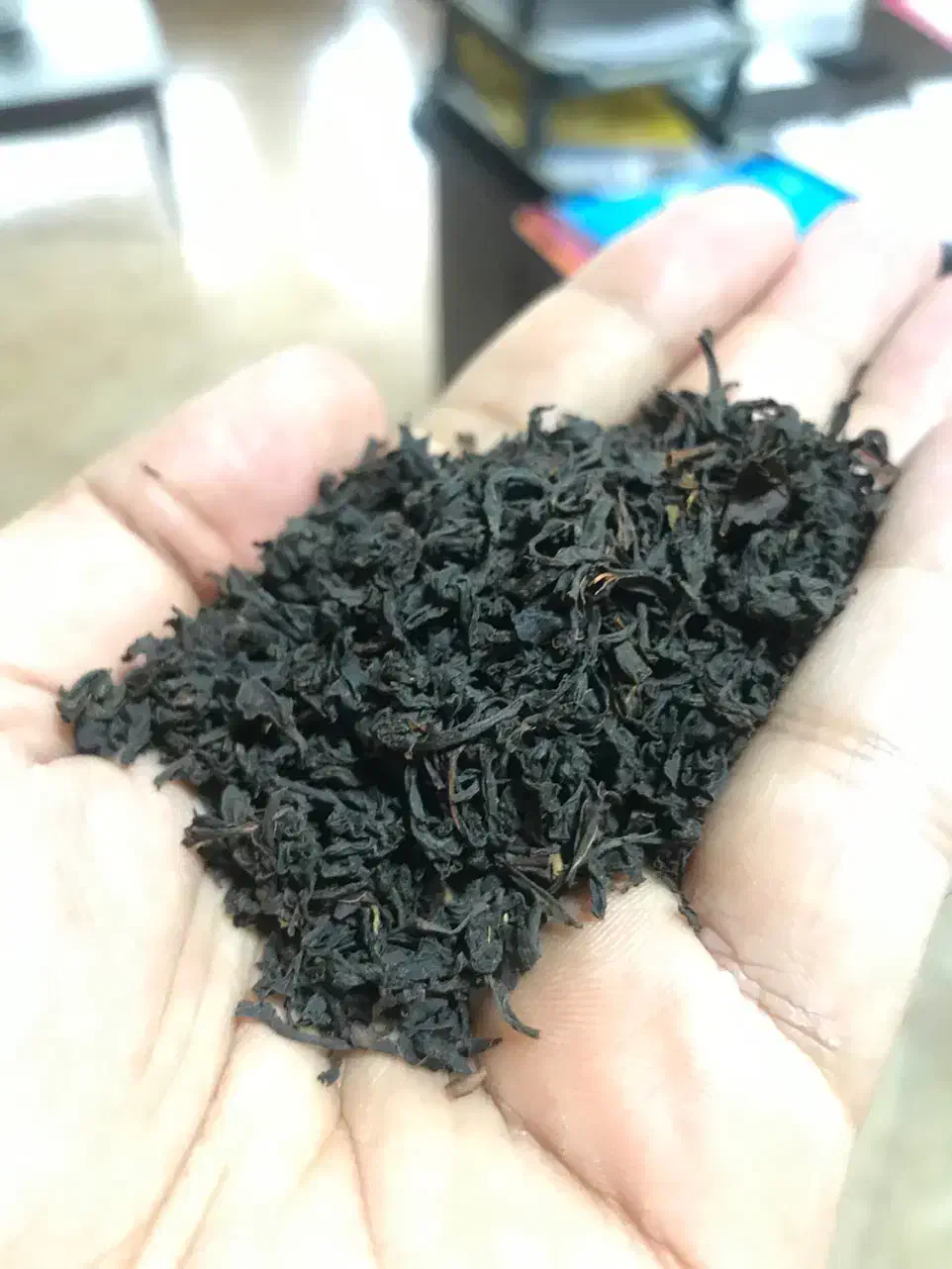 چای اصیل لاهیجان|خوردنی و آشامیدنی|لاهیجان, امیرشهید|دیوار