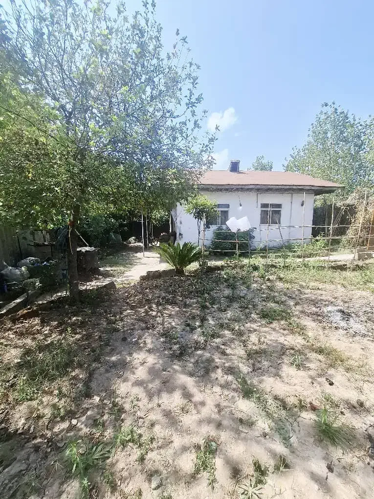 ویلا جنگلی با ساحل ۸دقیقه|فروش خانه و ویلا|رشت, بازار|دیوار