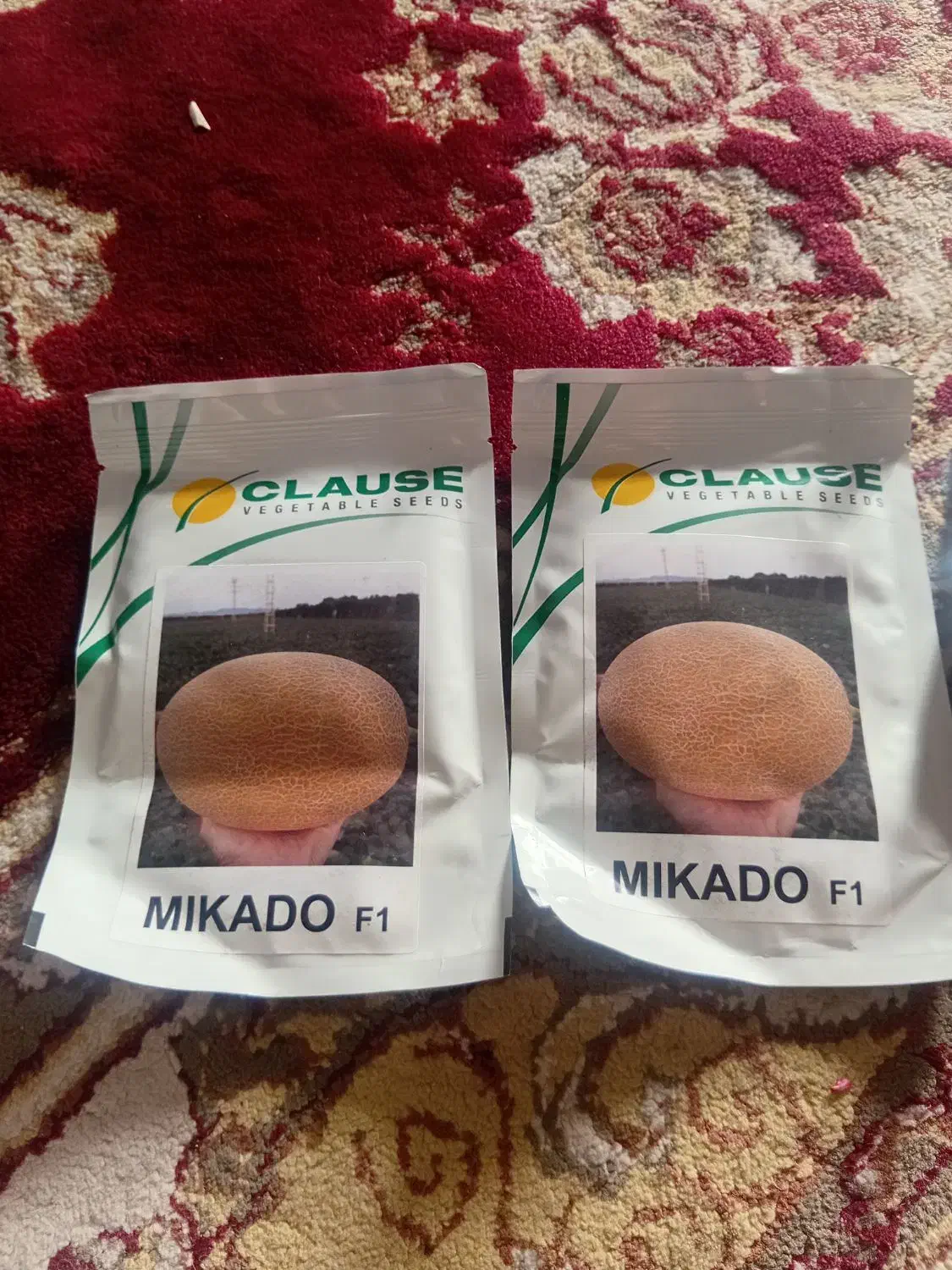 برز هندوانه وشمام|گل و گیاه طبیعی|شیراز, کرونی(خاتونک)|دیوار