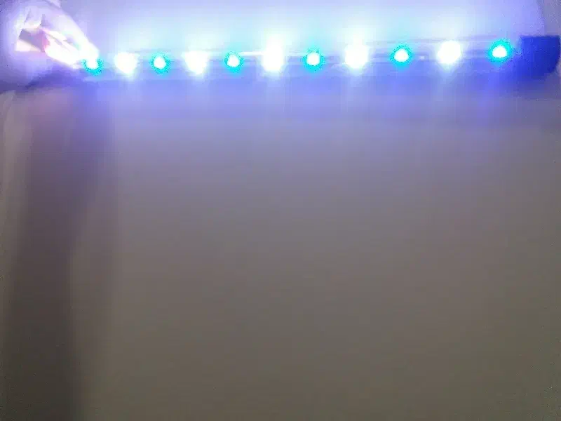 چراغ اکواریوم|ماهی|اهواز, سپیدار|دیوار