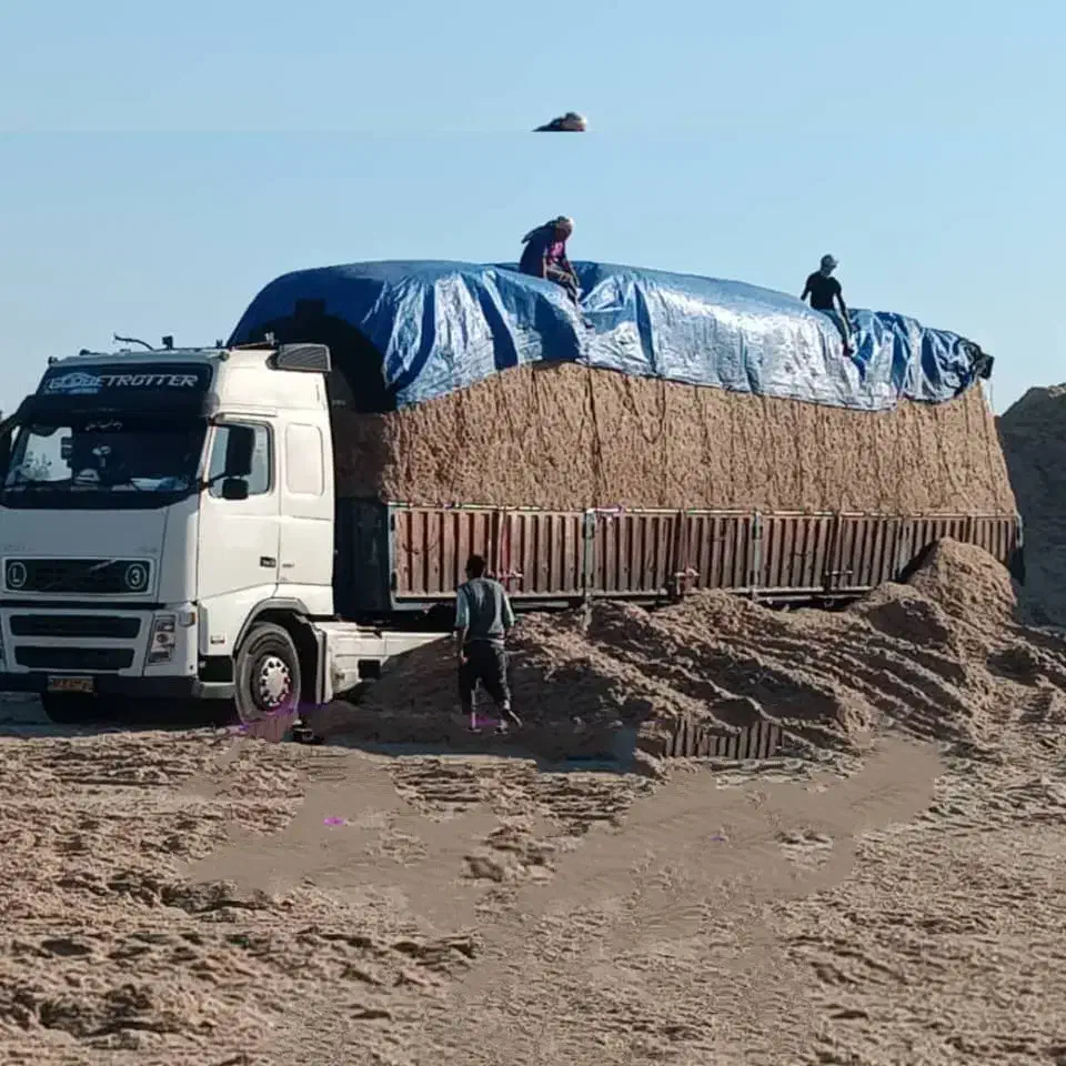 کاه باگاس|لوازم جانبی حیوانات|قزوین, |دیوار