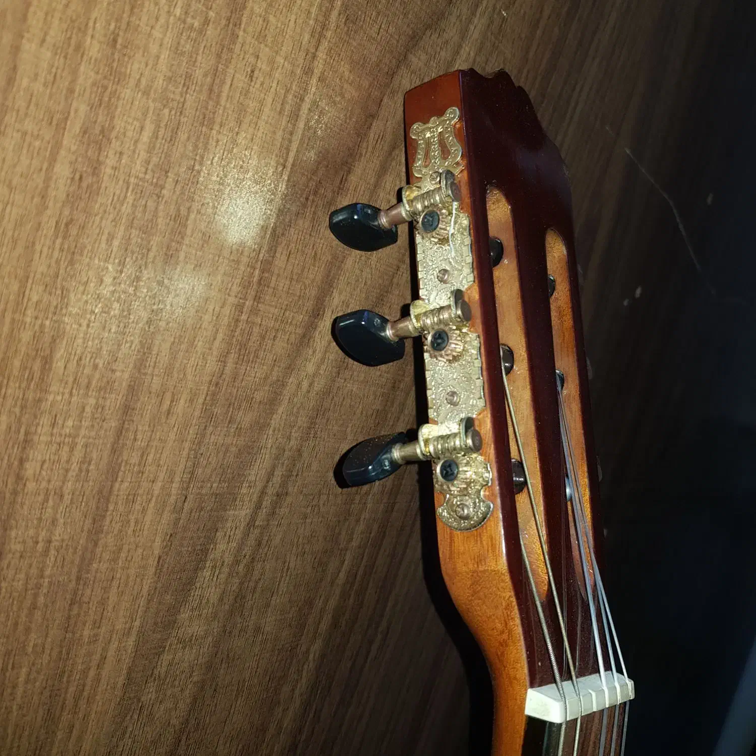 گیتار|گیتار، بیس، امپلیفایر|محمدیه-قزوین, |دیوار