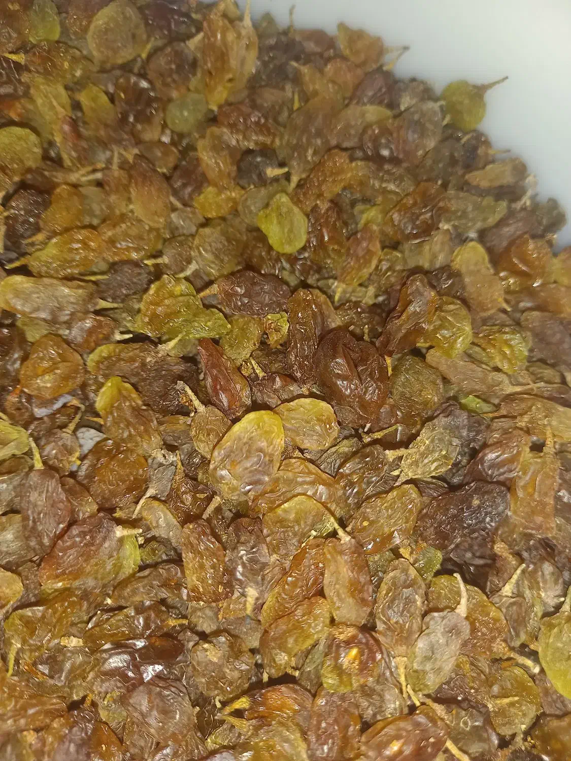 کشمش سی سخت|خوردنی و آشامیدنی|یاسوج, |دیوار