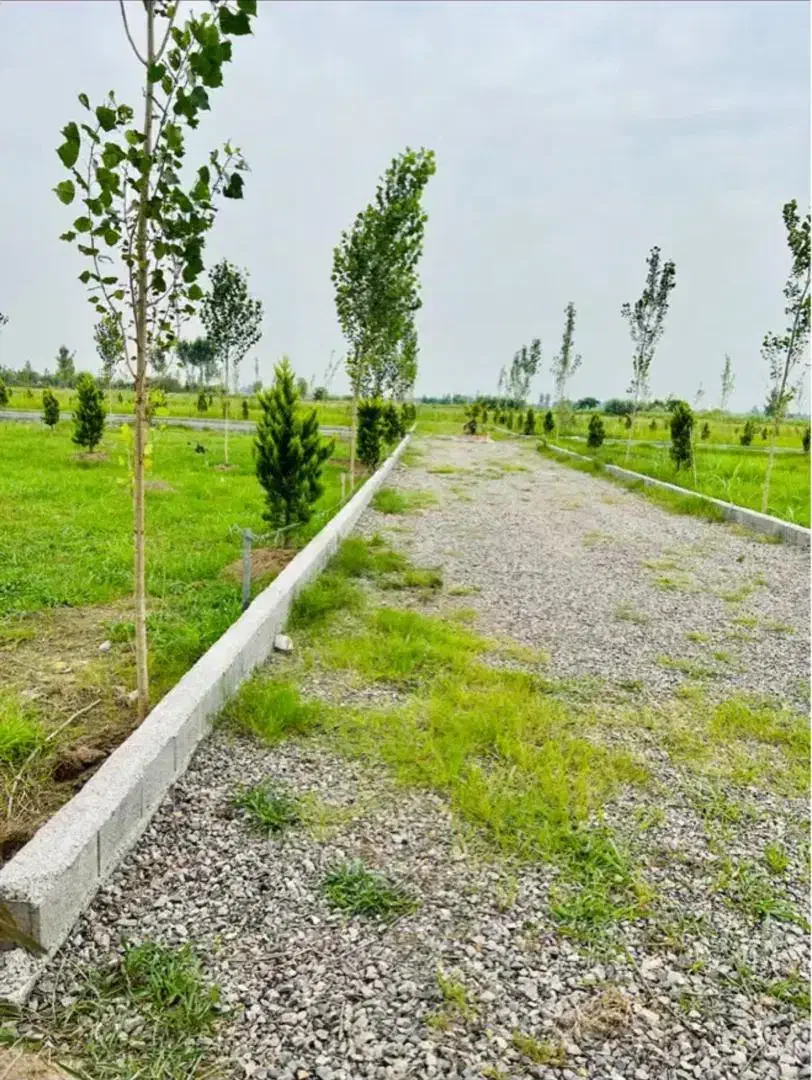 200متر زمین داخل بافت|فروش زمین و ملک کلنگی|دابودشت, |دیوار