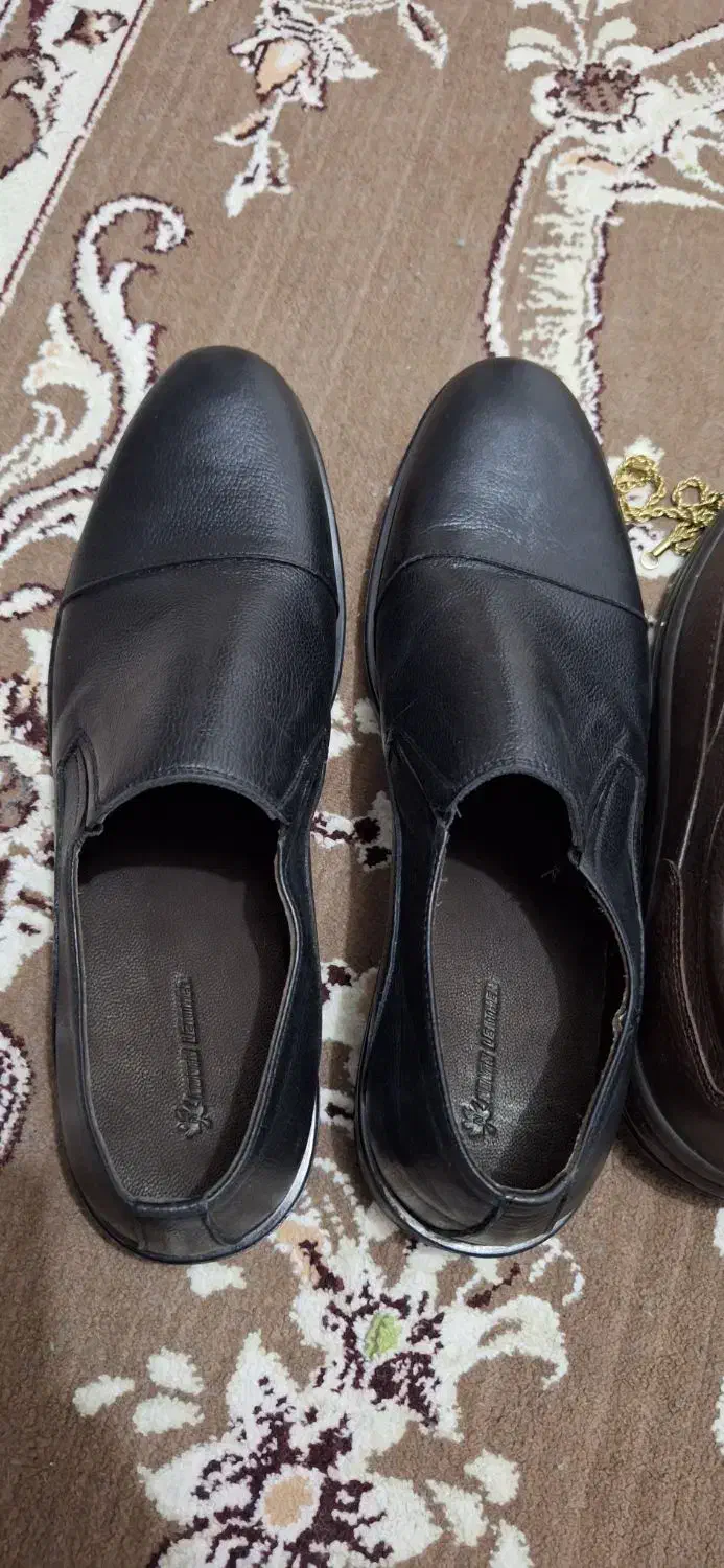 کفش مردانه|کیف، کفش، کمربند|شیراز, شهرک گلستان|دیوار
