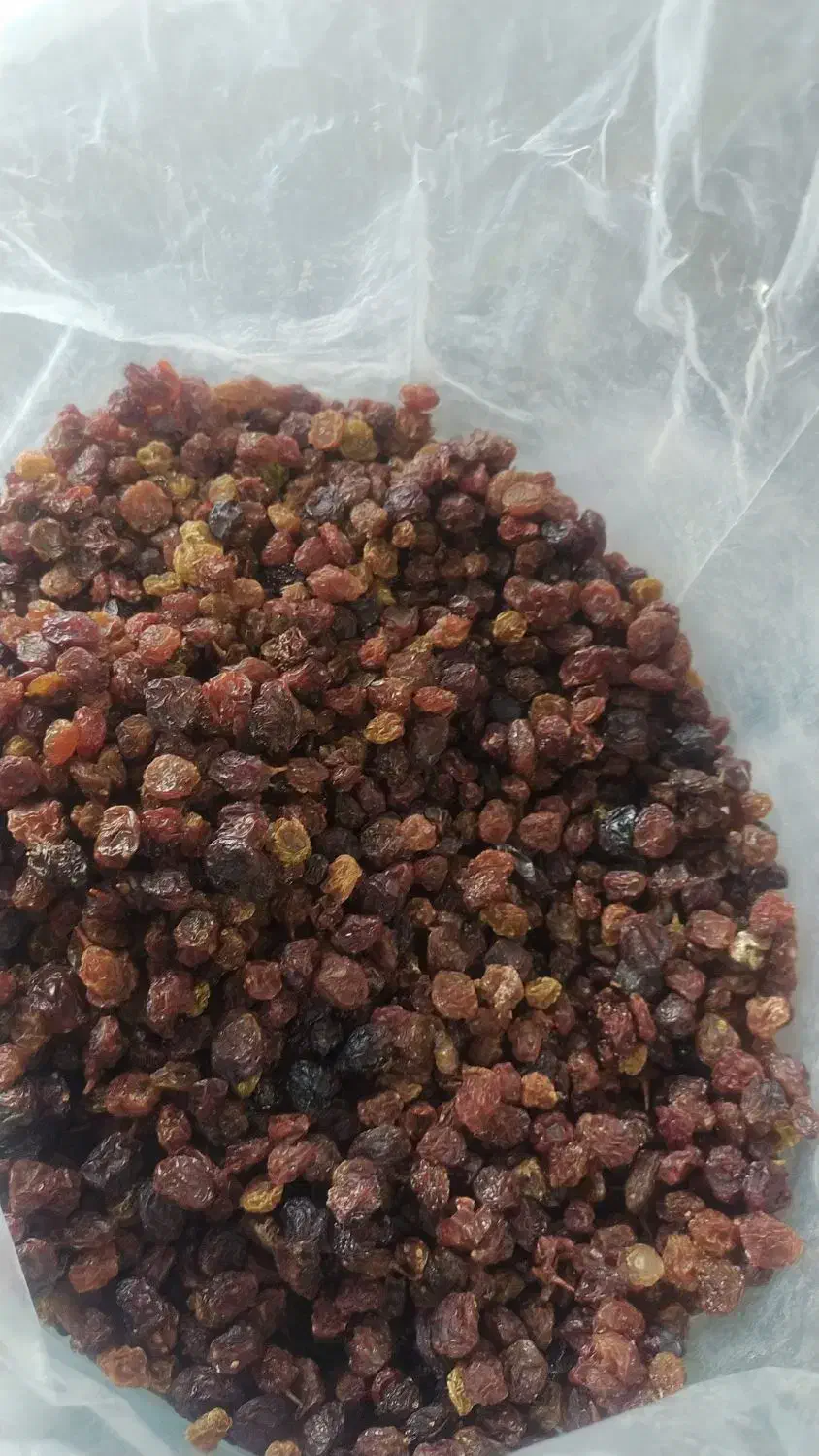 کشمش آفتابی تاکستان تحویل درب منزل|خوردنی و آشامیدنی|ساری, |دیوار