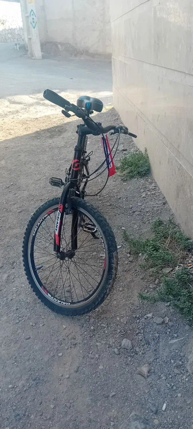 دوچرخه 24 گالانت|دوچرخه، اسکیت، اسکوتر|میانه, |دیوار