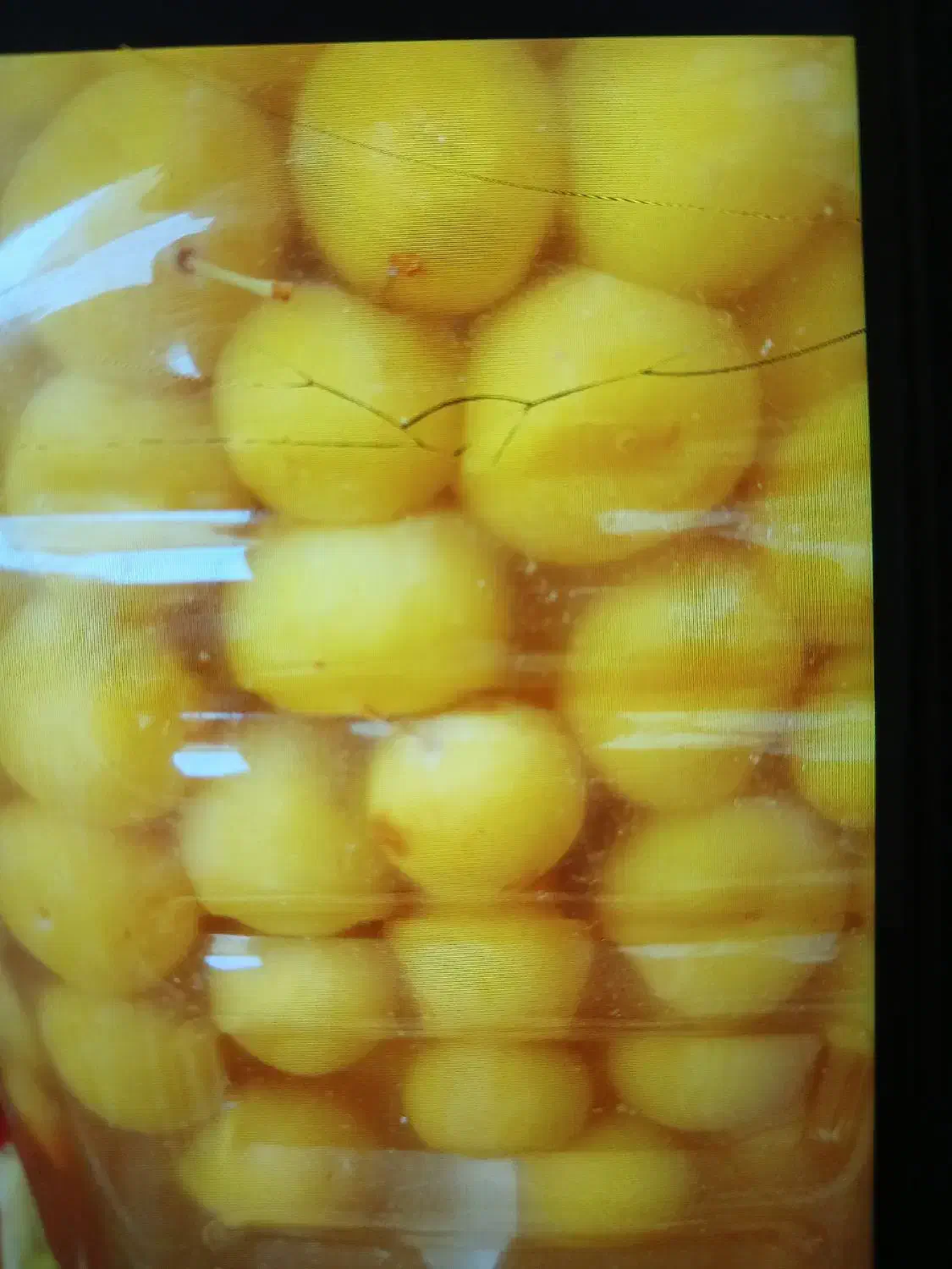 خوج جنگلی خوشمزه درجه یک آلوچه آلبالو ازگیل و..|خوردنی و آشامیدنی|رشت, رودباری|دیوار