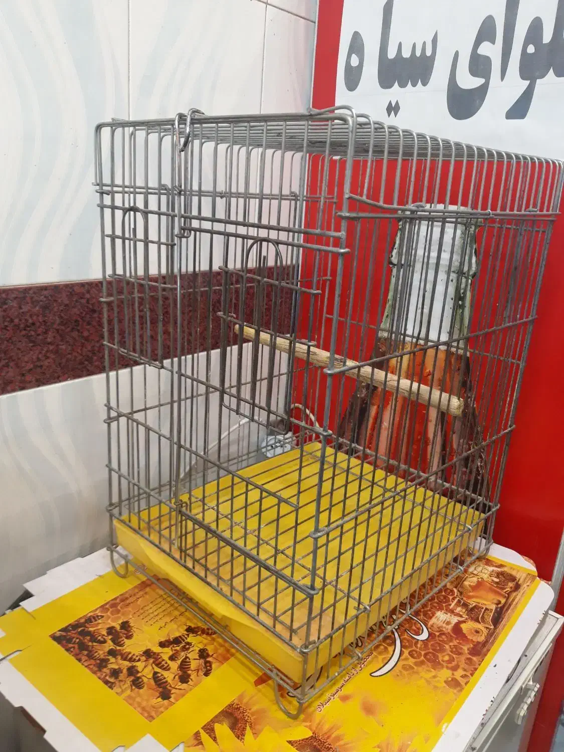 قفس طوطی بسیار سنگین صحیح سالم|لوازم جانبی حیوانات|اردبیل, |دیوار